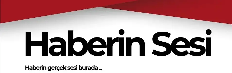 logo12